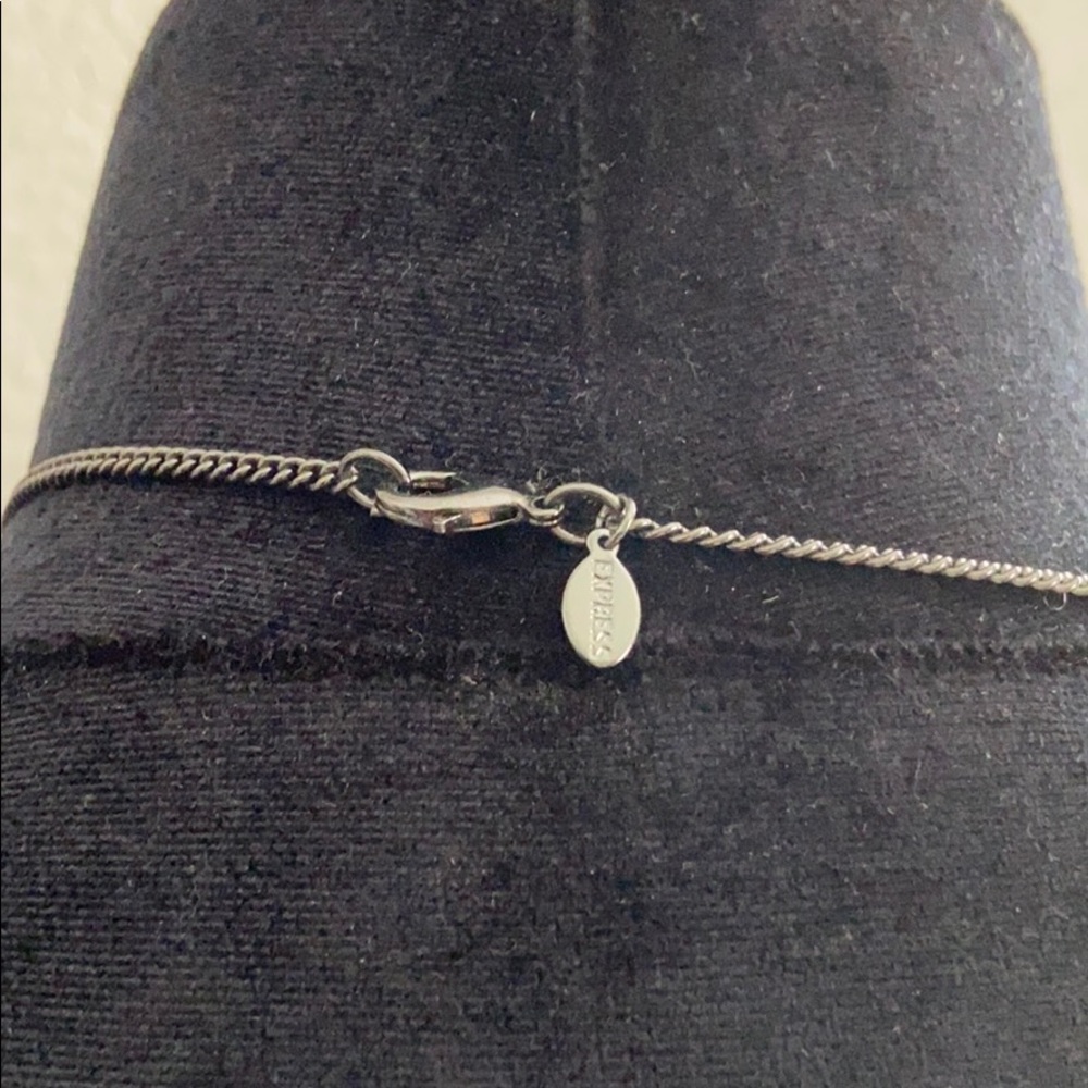 Express Drop Jewel Necklace - Picture 3 of 3